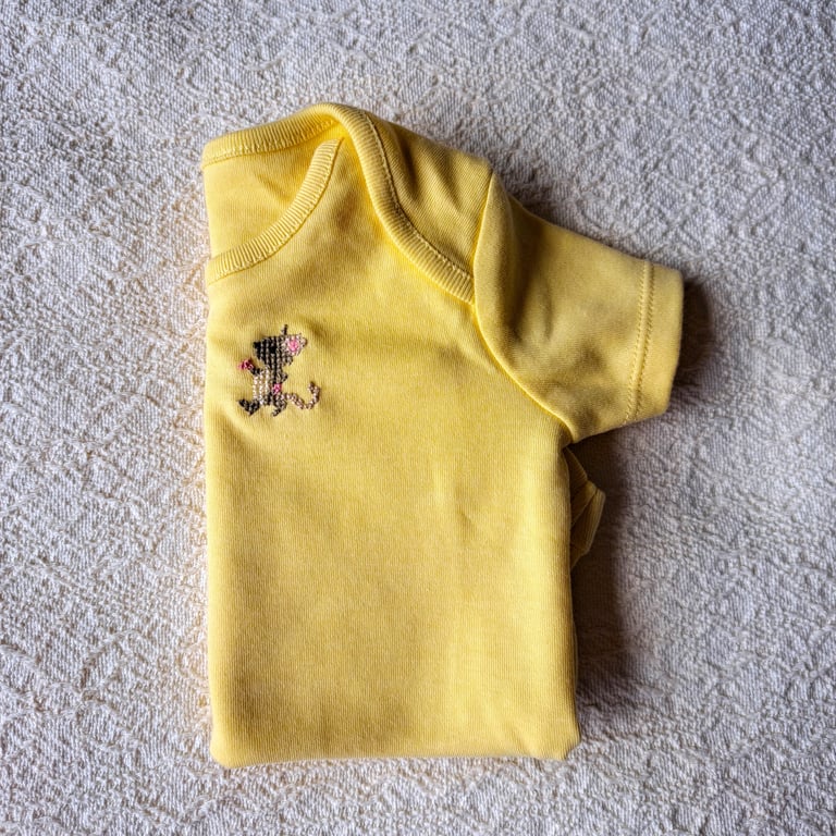 Mouse, vest, age 6-9 months, hand embroidered