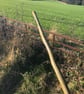 GREEN Walking Staff - Image 3