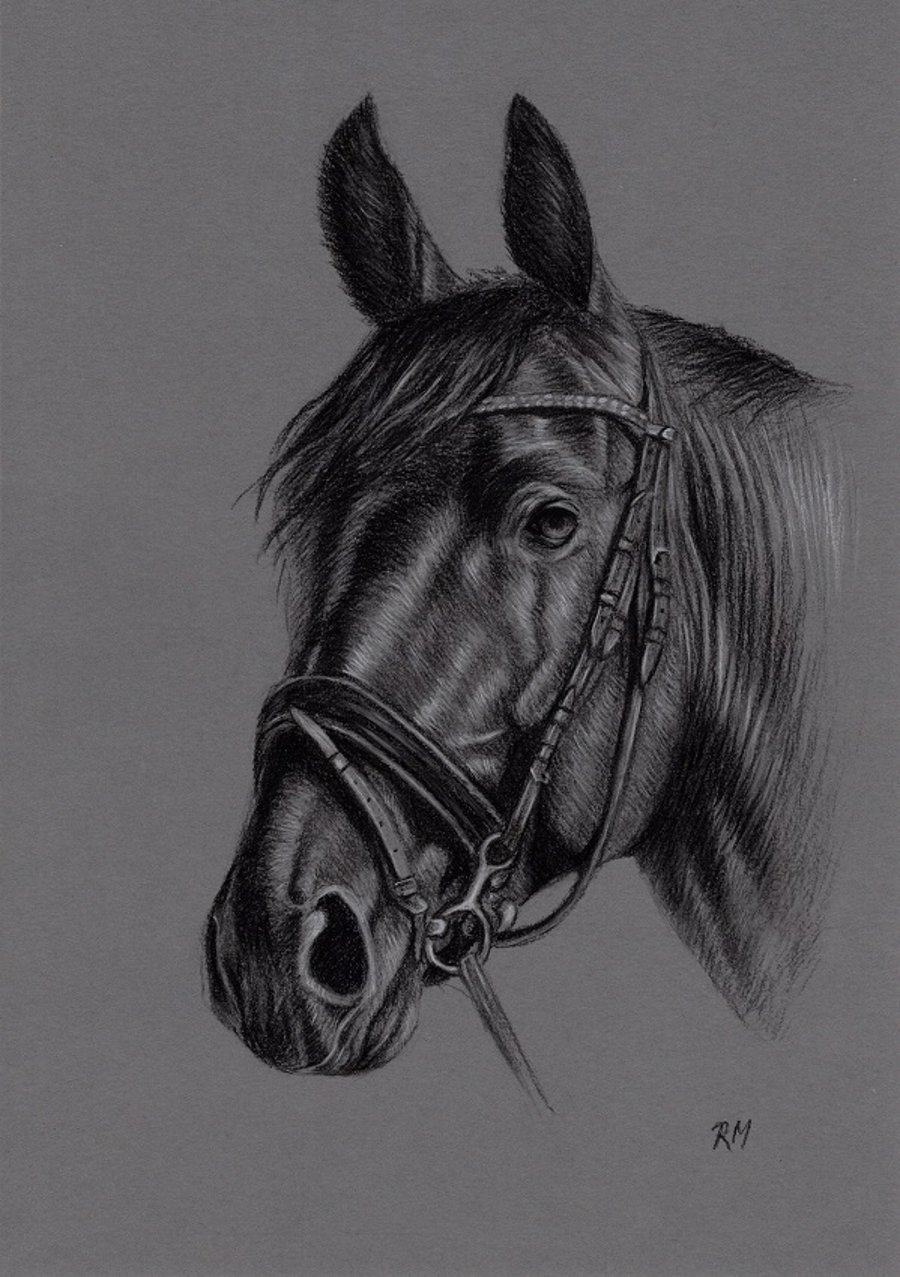 A4 Charcoal Drawing of a Horse