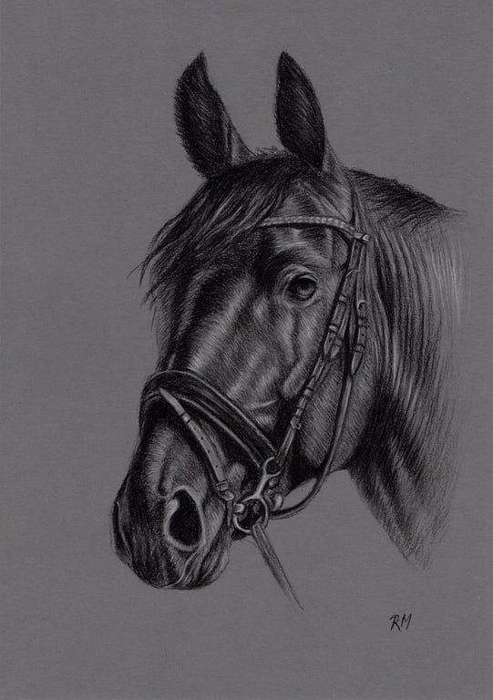 A4 Charcoal Drawing of a Horse