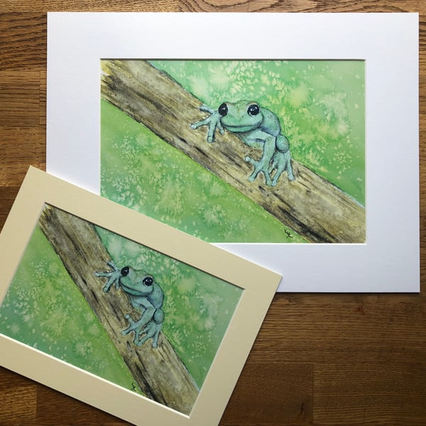 A4 or A3 mounted print of Travis Tree Frog from original watercolour 