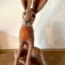 Hare with tweed