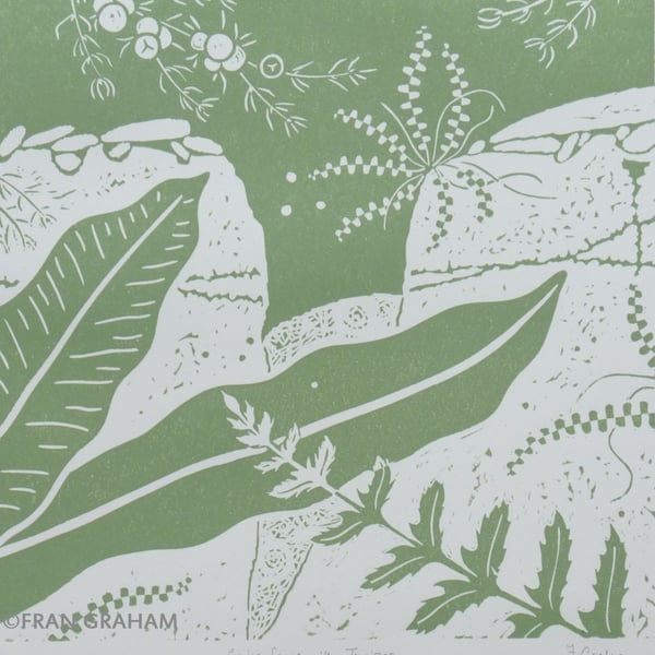 Gryke ferns with Juniper - Green