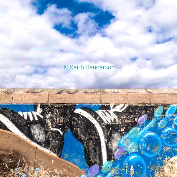 The Daily Grind at Whitley Bay