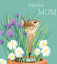 Mum birthday card Special Mum Mothers Day card - Image 4