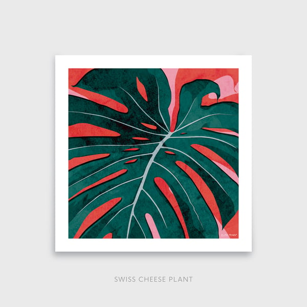 Swiss Cheese Plant Monstera deliciosa Botanical Square Art Print