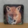 Fox Coaster