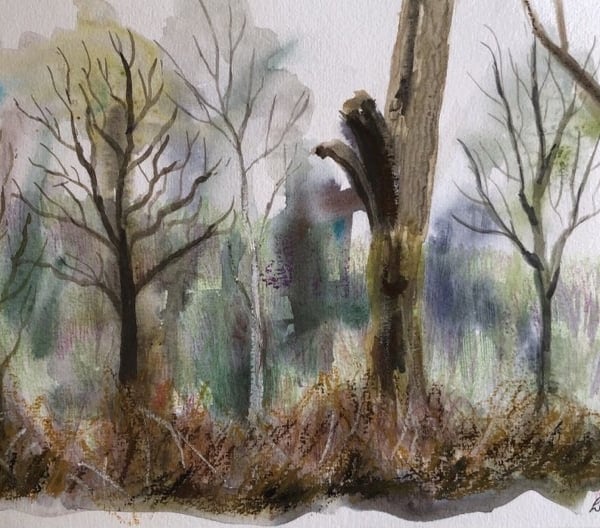 Original watercolour painting of trees in the wood