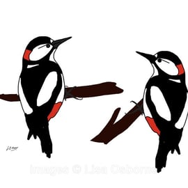 Woodpeckers - signed print from illustration of birds