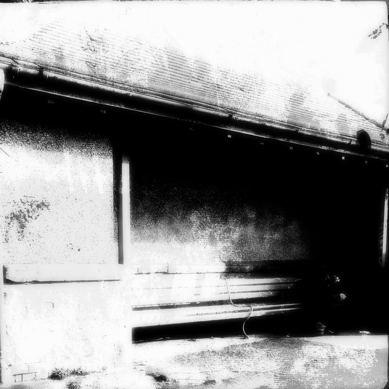 Shelter, Archival Art Print