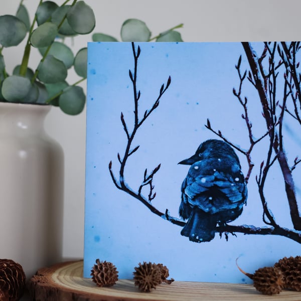 Winter Chill - Jackdaw - Blank Greetings Card