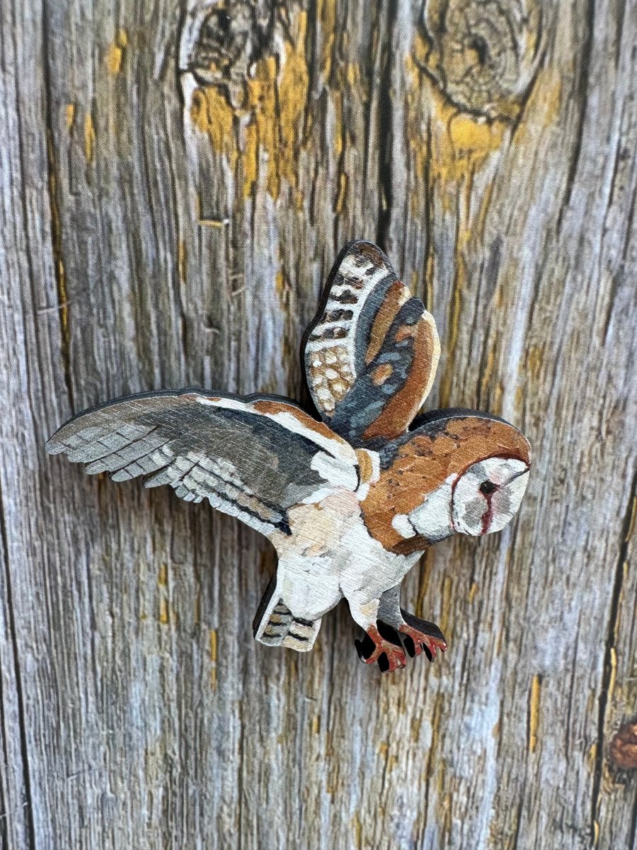 Barn Owl Wooden Magnet 