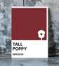 TALL POPPY Greeting Card – Colour Swatch Series (A6, Blank Inside)