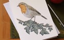 Single greetings cards