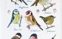 Animal Tea Towels