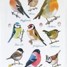 Popular Garden Birds Large Cotton Tea Towel