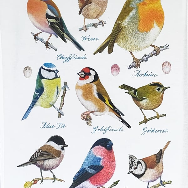 Popular Garden Birds Large Cotton Tea Towel