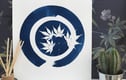 Cyanotype Circles Collection