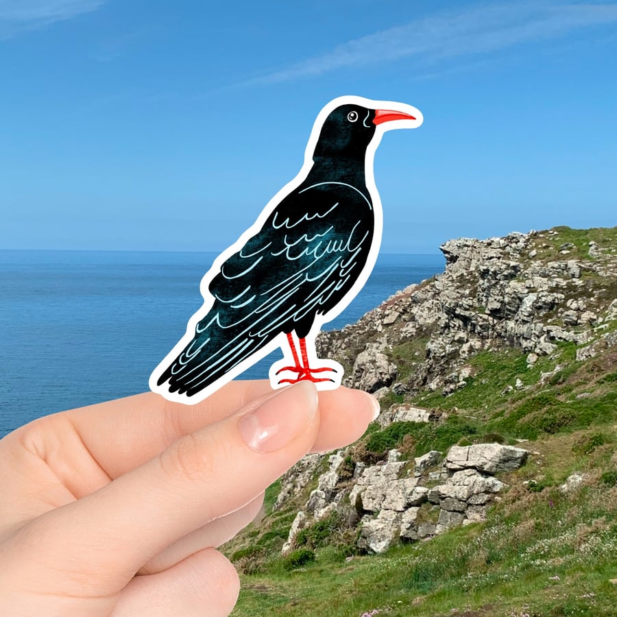 Cornish Chough Sticker, Cornwall Stickers