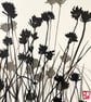 Botanical art, Chive Flowers, shadow painting, original, handmade, signed - Image 6
