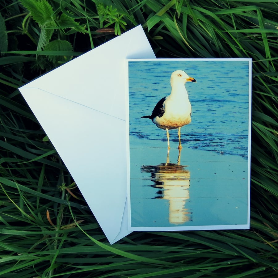 A card featuring an original photograph.  Low tide.  Blank inside.