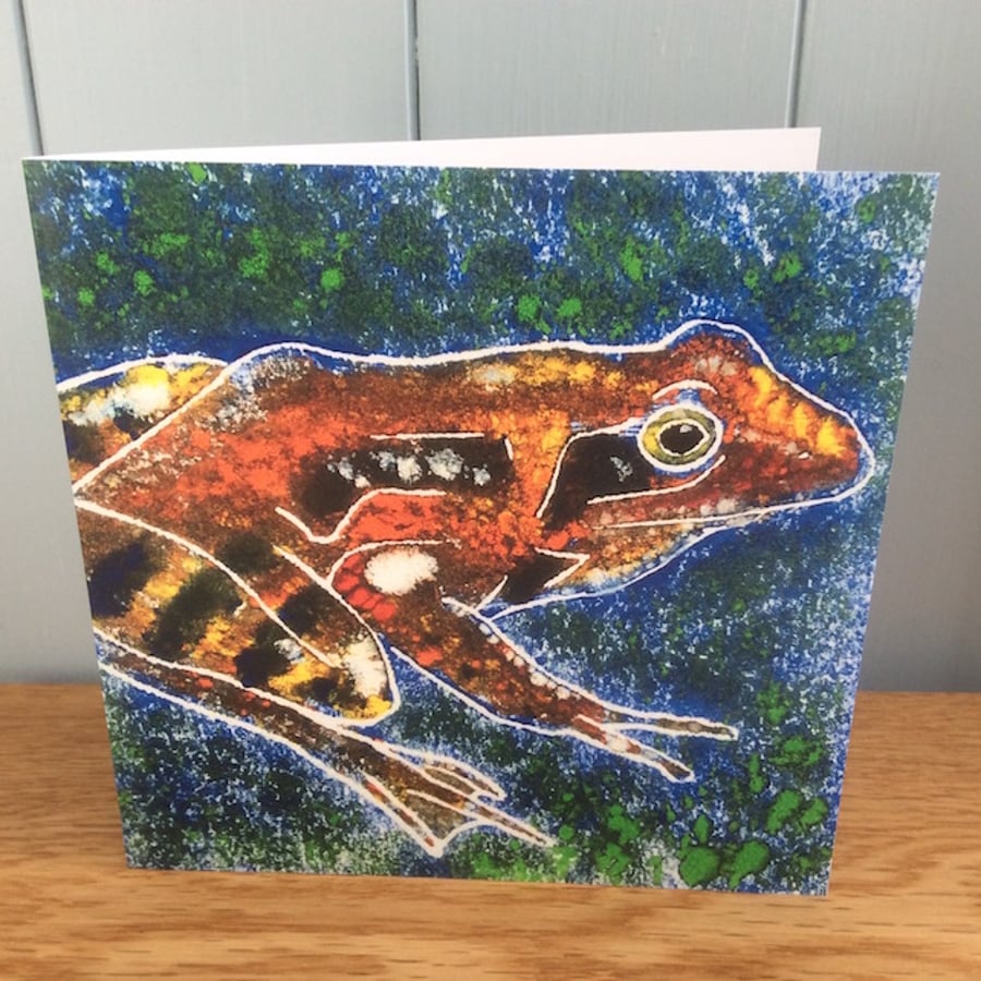 Speckled Frog - charity greeting card of a good looking frog