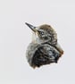 Starling Fledgling Acrylic Portrait Painting  - Image 2