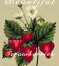 034 - Rustic Strawberries - Cross Stitch Pattern - Image 4