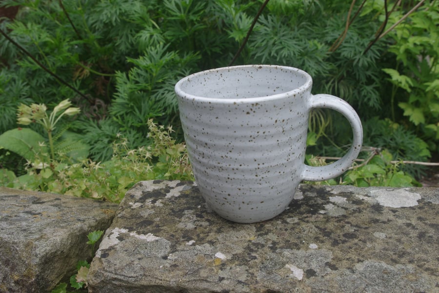 White  Stoneware Mugs