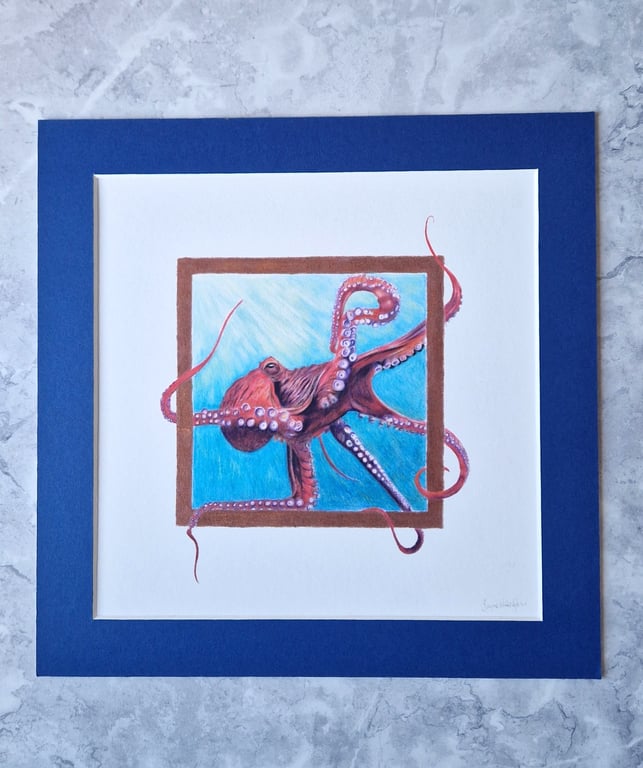 'Otto' - Octopus Fine Art Print