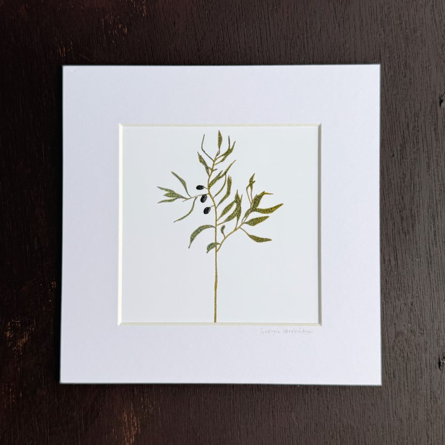 Image of 'Olive Branch' 8" x 8" Mounted Print