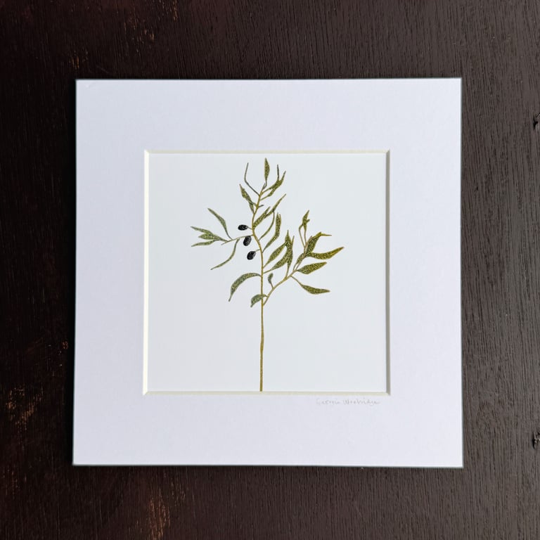 'Olive Branch' 8" x 8" Mounted Print