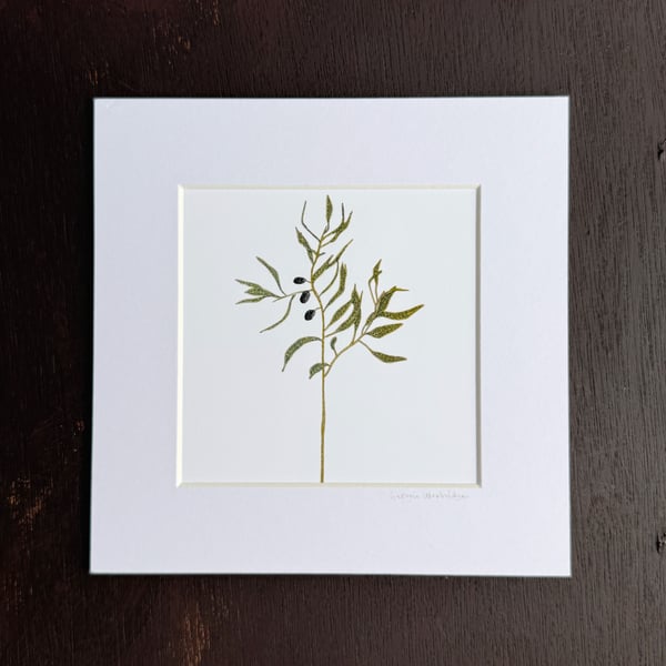 'Olive Branch' 8" x 8" Mounted Print