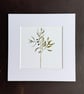 'Olive Branch' 8" x 8" Mounted Print