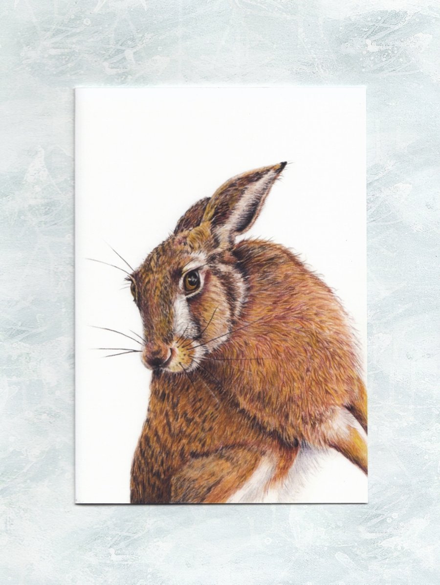 Hare Greetings Card, Wildlife Art Card