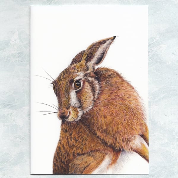 Hare Greetings Card, Wildlife Art Card
