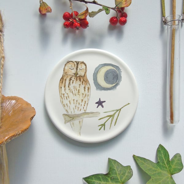 Tawny Owl mini wall plate 