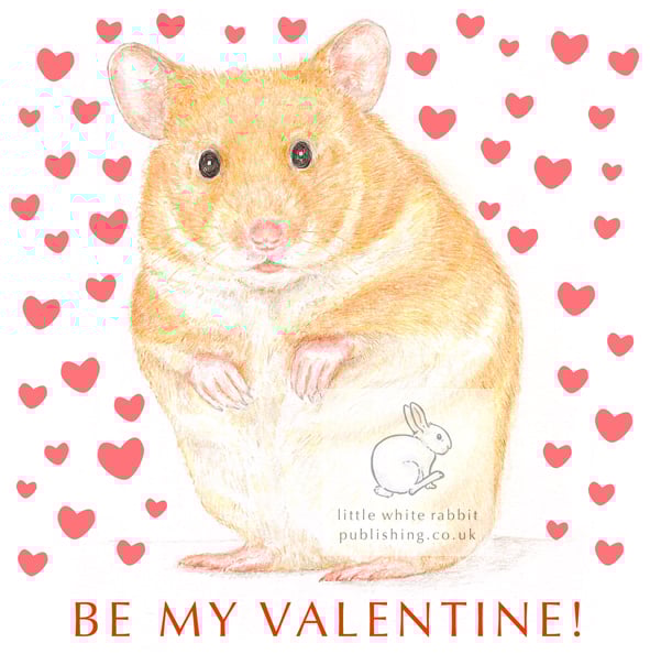 Daisy - Valentine Card