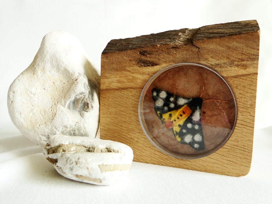 Tiger Moth Embroidery Diorama - Handmade Oak Shadow Box Frame