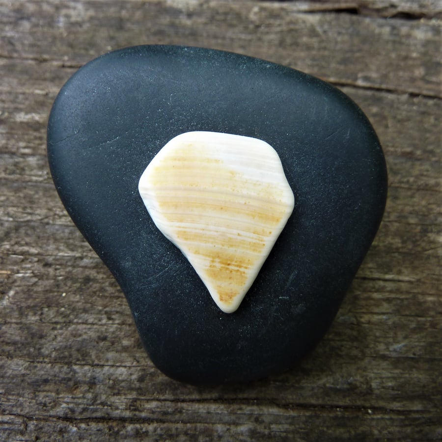Brooch - black beach pebble and yellow striped sea shell, Africa brooch