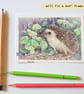 Little Hedgehog drawing, letterbox art gift, original art - Image 3