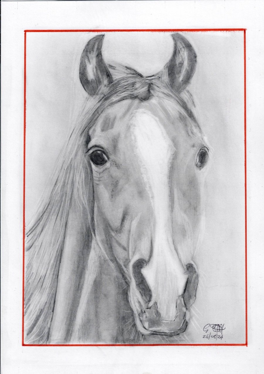 Graphte drawing of a horse head 1
