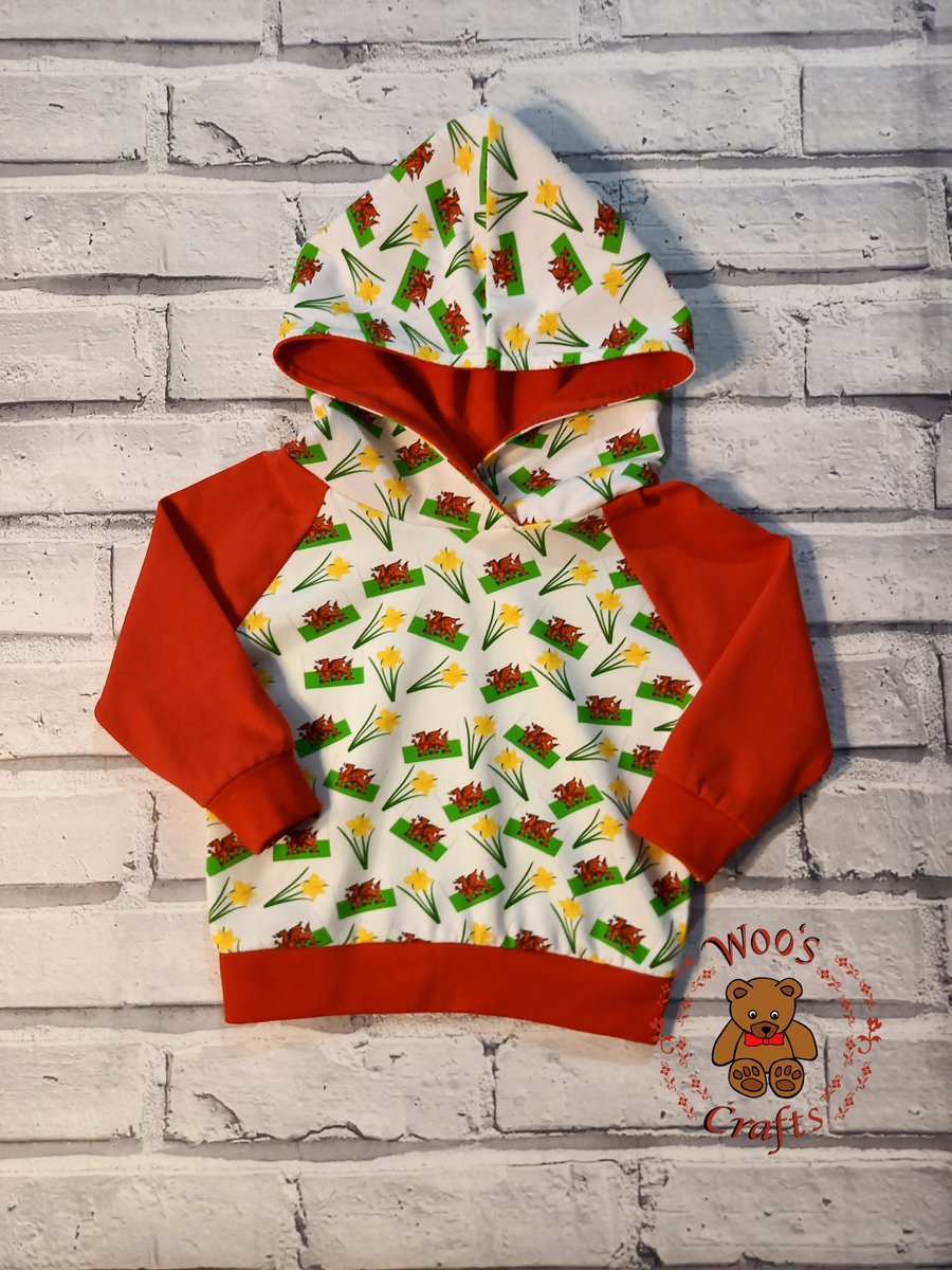 Kids unique Welsh hoodie jumper