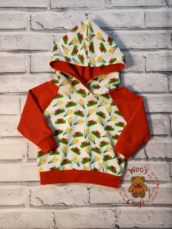 Kids unique Welsh hoodie jumper