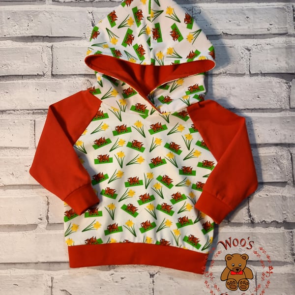 Kids unique Welsh hoodie jumper