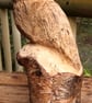 Birch Owl Carving - Image 5