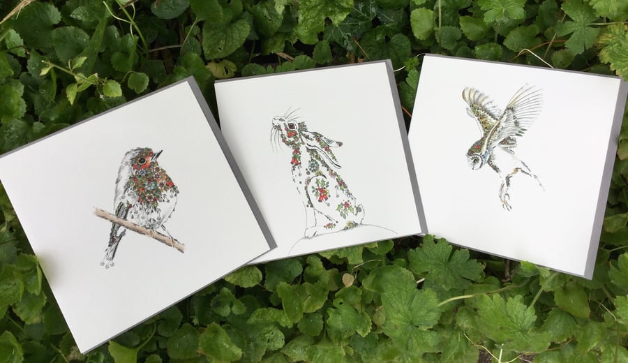 A trio for nature lovers 