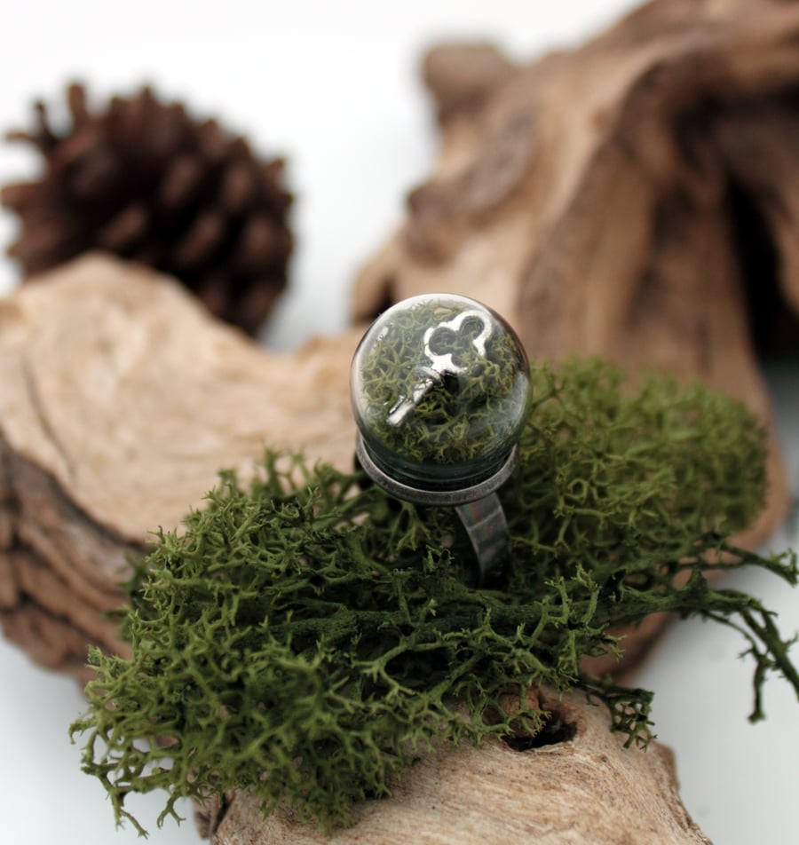Secret garden glass dome terrarium ring with key and reindeer moss gift for her