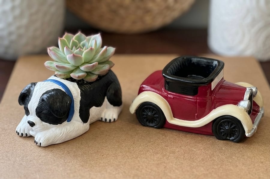 Handmade Eco-Stone Planters - Choose Your Shape: Vintage Car or Sleeping Puppy