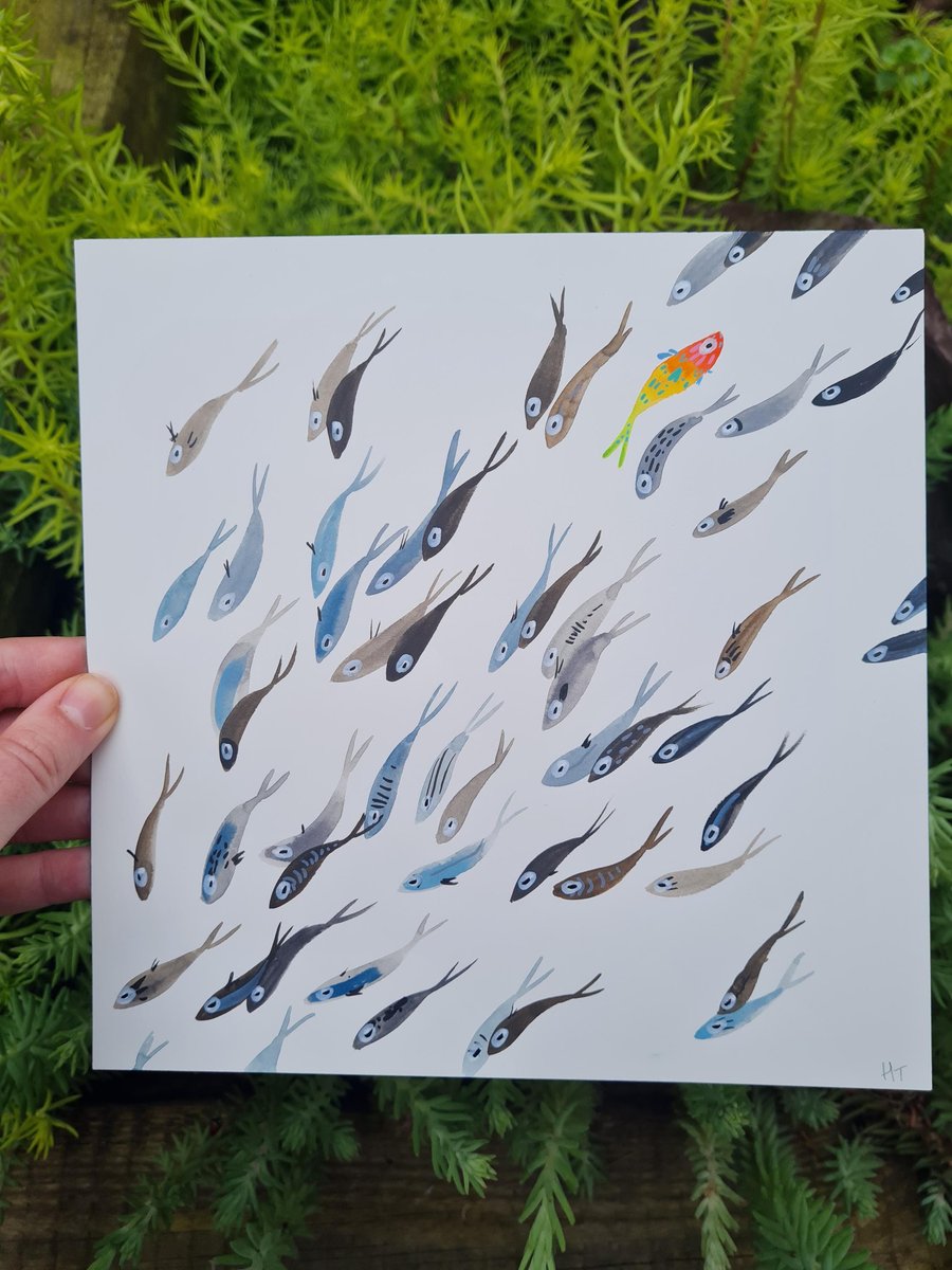 Original Watercolour hand painted vibrant, fish art